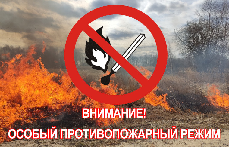 Противопожарный режим. Противопожарный режим.