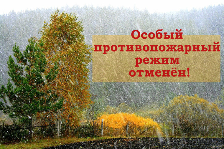 Объявление!. Объявление!.