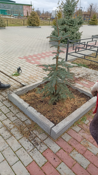 Субботник. Субботник.